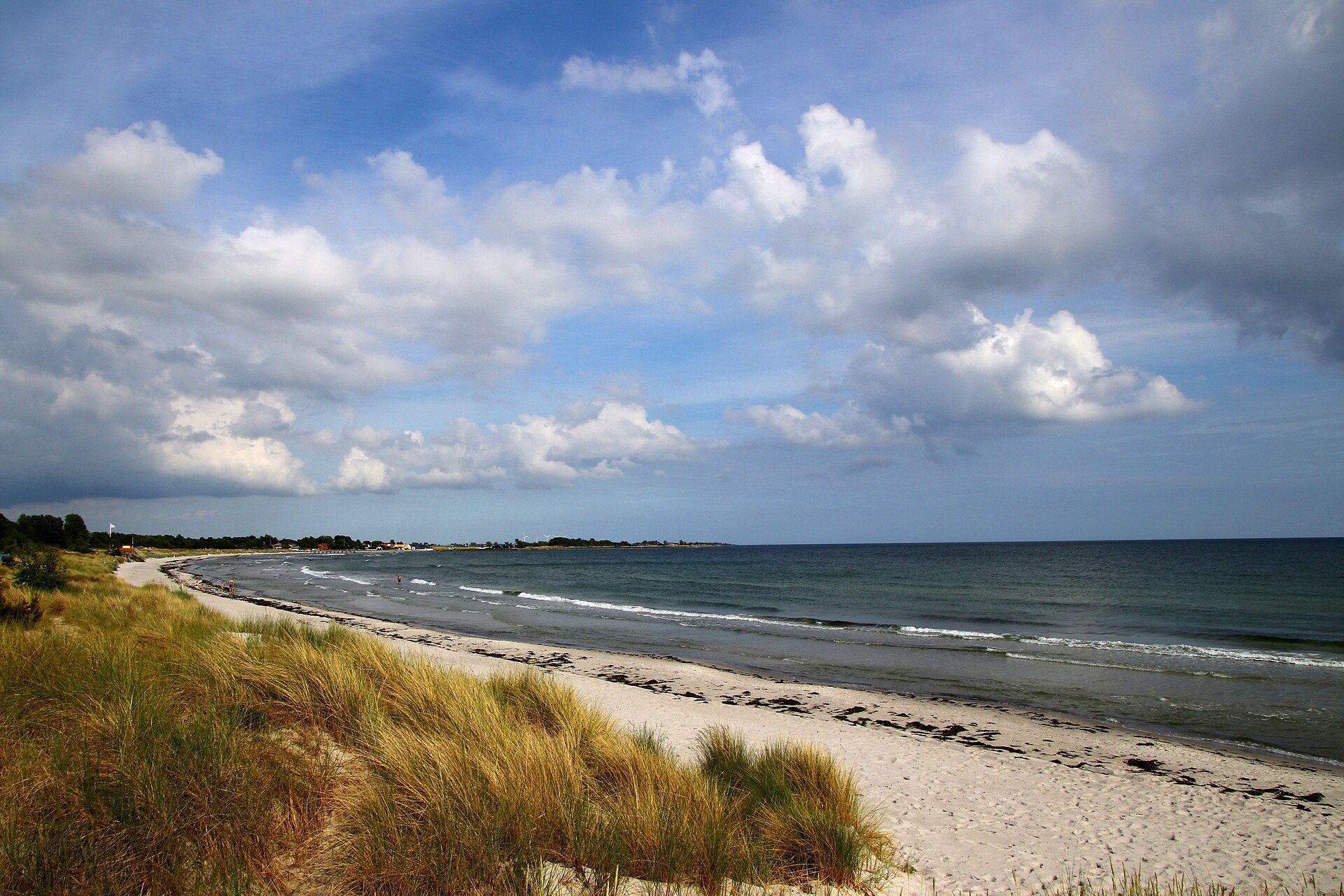 Klitgræs og en buet, hvid strand ved Kämpinge strand, Höllviken