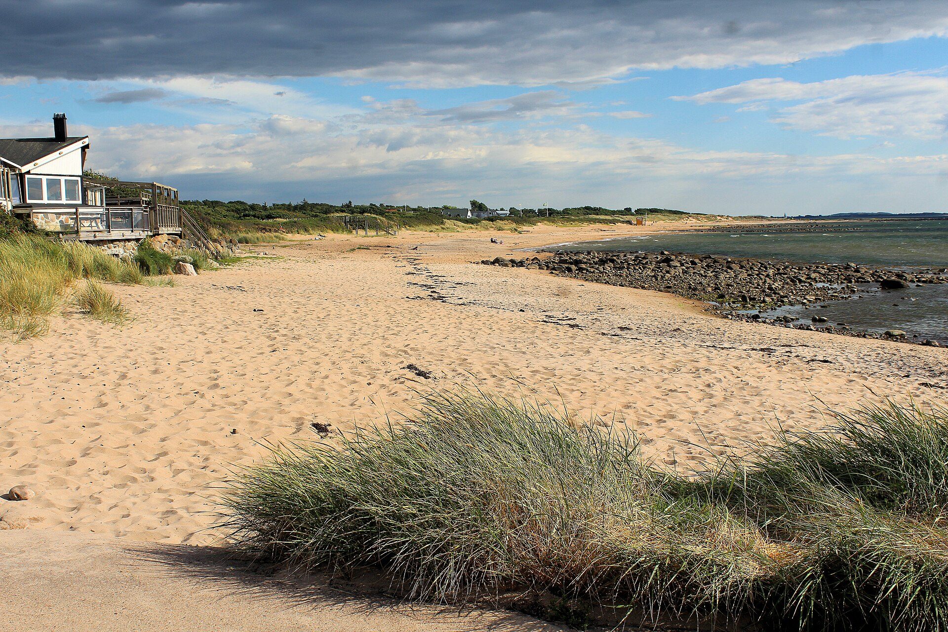 Sand, klitgræs og sommerhuse på stranden ved Vejbystrand
