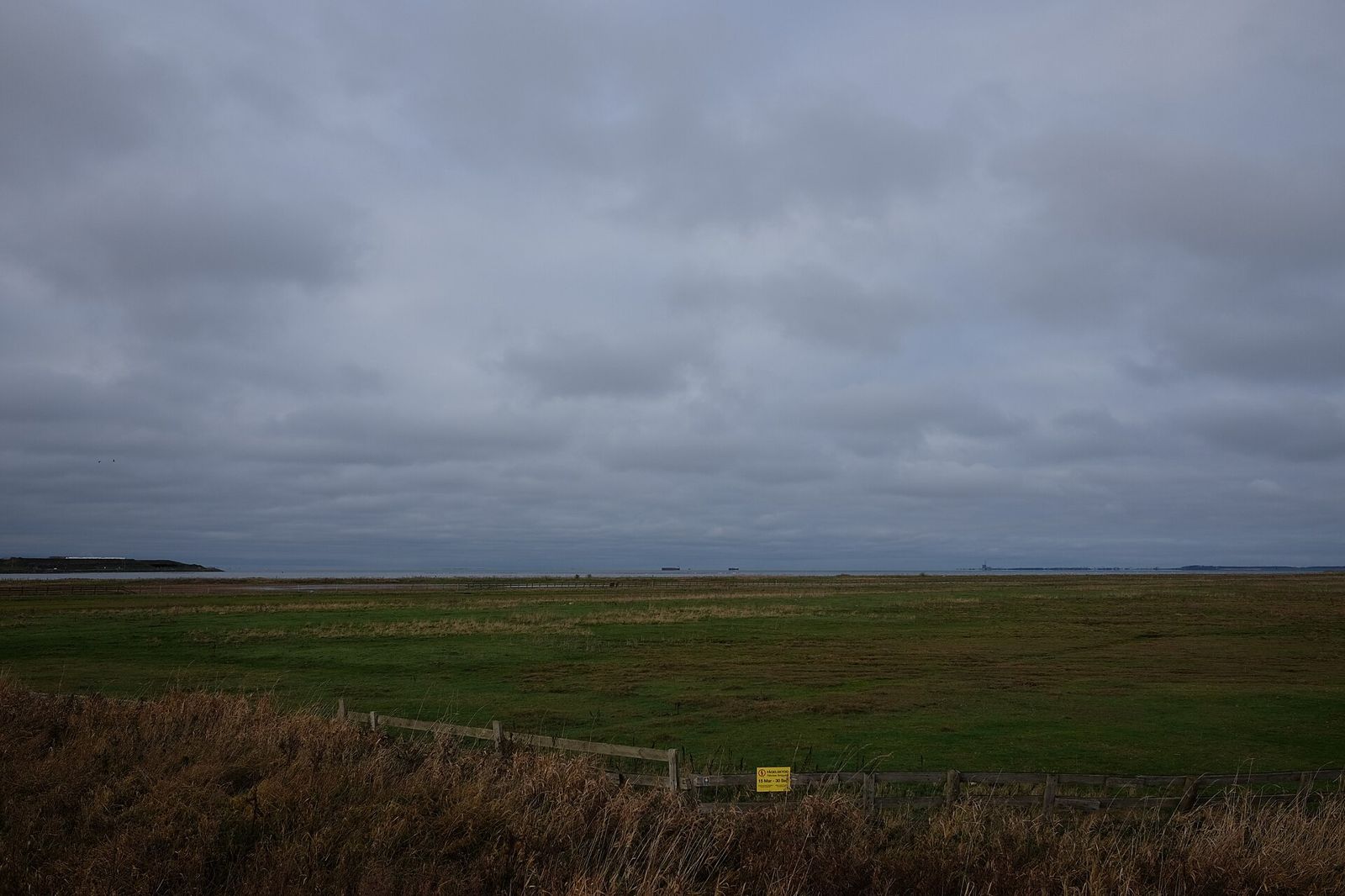 Heathland by Lommabukten with a ship in the background