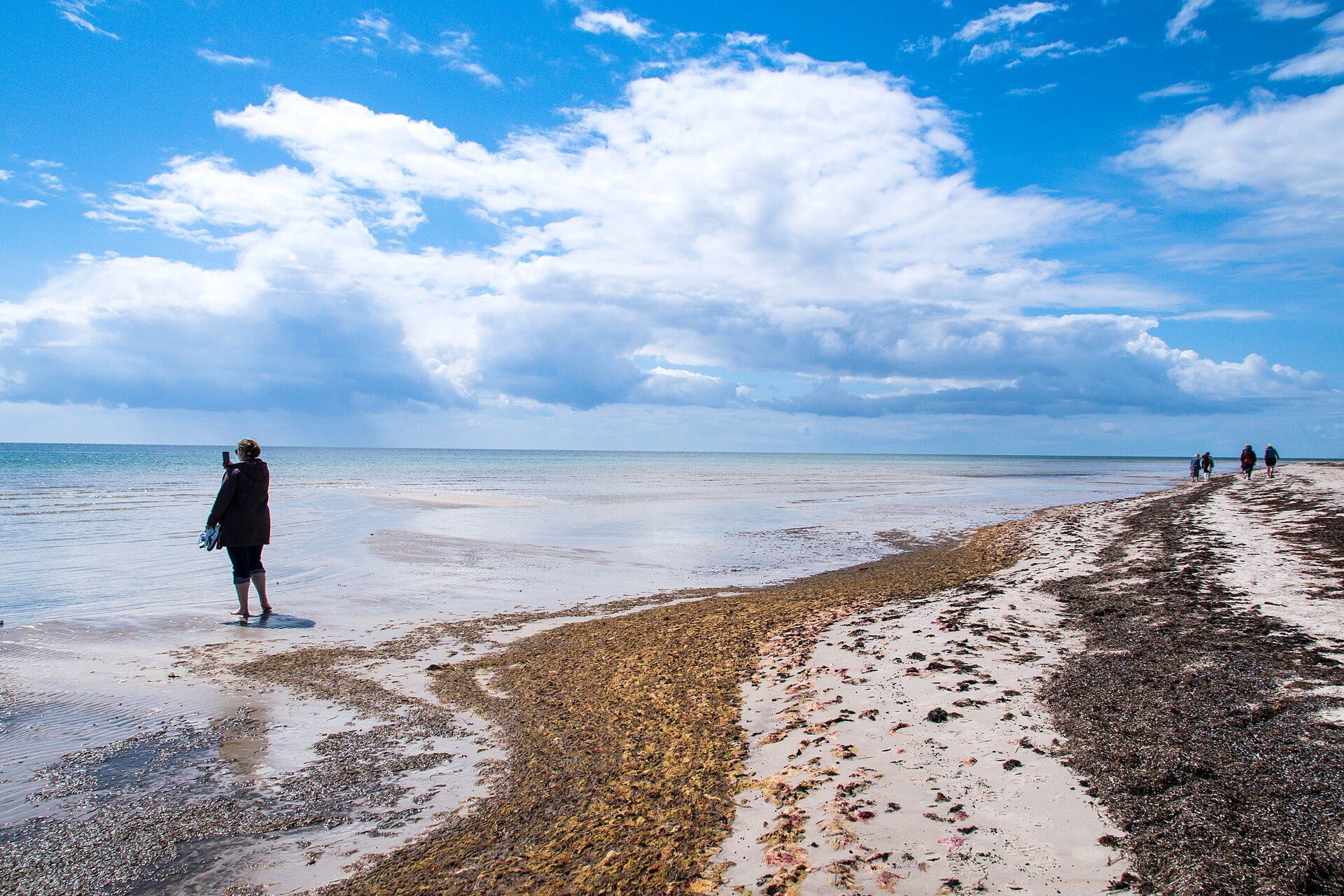 En person på gåtur i det lave vand ved stranden i Ljunghusen