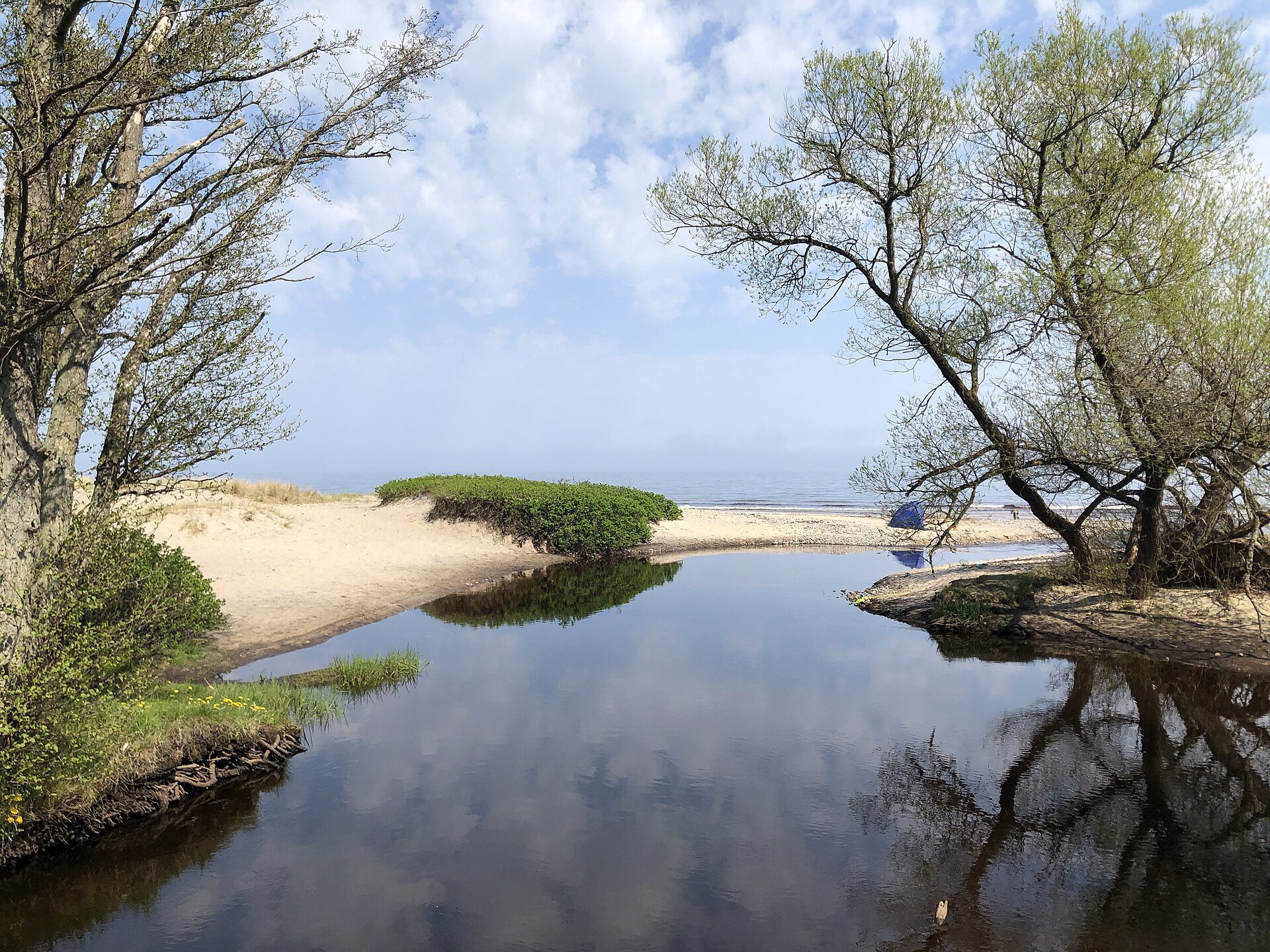 Hvor åen Verkeån møder havet ved Haväng, omgivet af sand og piletræer
