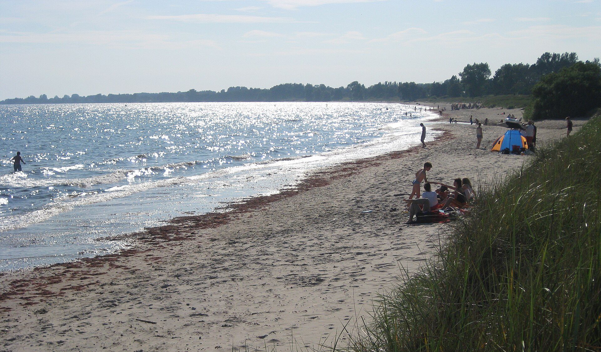 Den lange, blødt buede sandstrand ved Mossbystrand vest for Ystad