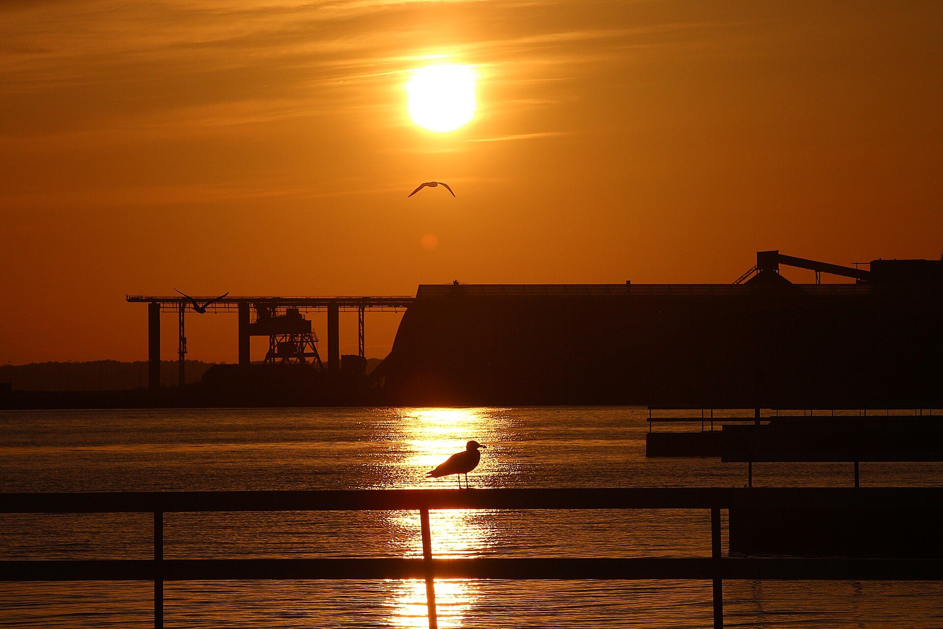 Udsigten over stranden og klitterne ved Råå vallar, Helsingborg